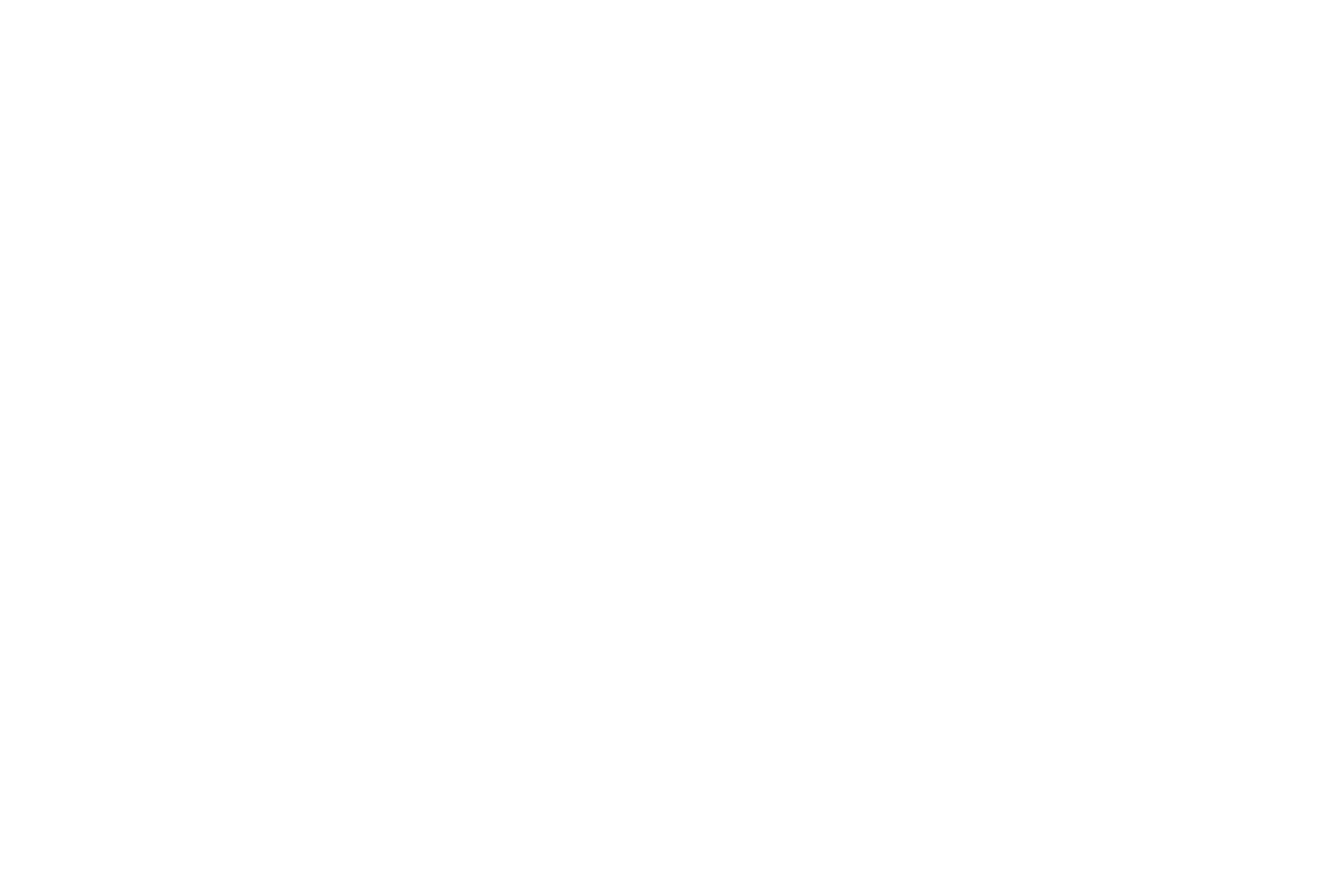 Andreea Petre Signature